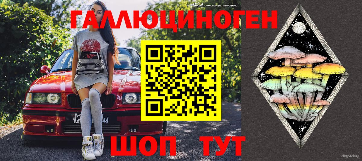 Галлюциногенные грибы Psilocybe Лесной