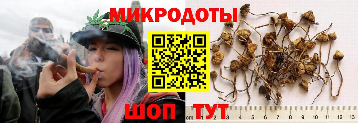 Галлюциногенные грибы прущие грибы  закладка  Галлюциногенные грибы прущие грибы  Лесной  Вход с VPN 