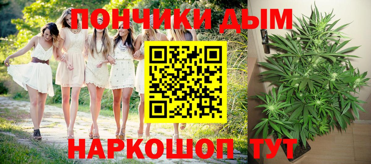 Конопля SATIVA & INDICA  Вход с VPN  Конопля OG Kush  Лесной 